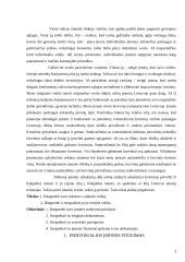 Įmonės veikla: Teisinė veikla 2 puslapis