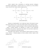 Neorganinė naftos susidarymo hipotezė, jos esmė ir kritiškas jos įvertinimas 13 puslapis