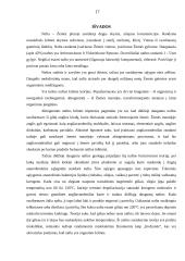 Neorganinė naftos susidarymo hipotezė, jos esmė ir kritiškas jos įvertinimas 17 puslapis