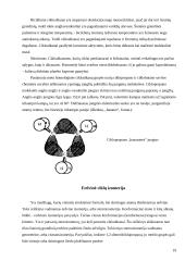 Cikloalkanai (monocikliniai, policikliniai, naftenai), cikloalkanų sudėtis naftoje. Aukštų virimo temperatūrų cikloalkanai jų susidarymas, savybės, gavimo metodai, panaudojimas ir virsmai 19 puslapis