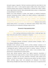 Naftos chemija: Dervos 15 puslapis