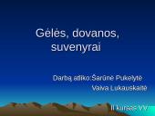 Gėlių teikimo ypatybės. Gėlių teikimo ypatingi atvejai.
