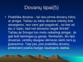 Gėlių teikimo ypatybės. Gėlių teikimo ypatingi atvejai. 19 puslapis