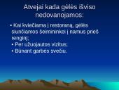 Gėlių teikimo ypatybės. Gėlių teikimo ypatingi atvejai. 7 puslapis