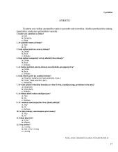 Smurtas šeimoje: moksleiviai patyrę smurtą šeimoje 17 puslapis