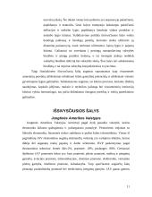 Išsivysčiusios šalys ir jų ekonominio vaidmens pasauliniame ūkyje analizė 11 puslapis