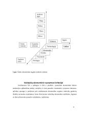 Išsivysčiusios šalys ir jų ekonominio vaidmens pasauliniame ūkyje analizė 6 puslapis