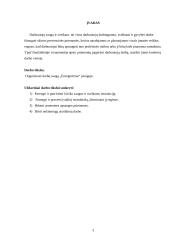 Darbų saugos projektas: UAB "Energoritmas" 3 puslapis