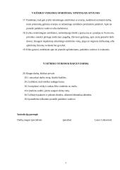 Darbų saugos projektas: UAB "Energoritmas" 7 puslapis