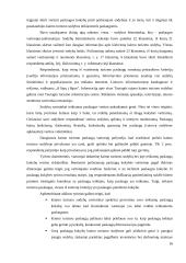 Vadyba Lietuvos kaimo turizmo versle 15 puslapis