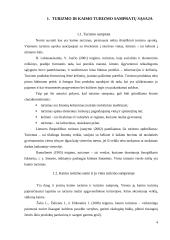 Vadyba Lietuvos kaimo turizmo versle 3 puslapis