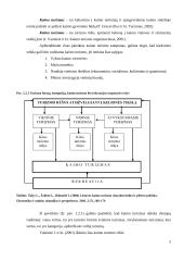 Vadyba Lietuvos kaimo turizmo versle 4 puslapis