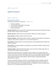 Hodegetikos samprata 16 puslapis