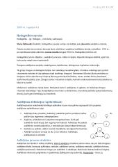 Hodegetikos samprata 3 puslapis