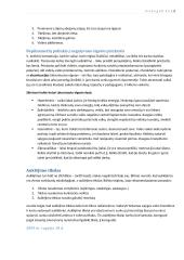 Hodegetikos samprata 6 puslapis