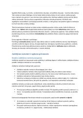 Hodegetikos samprata 7 puslapis