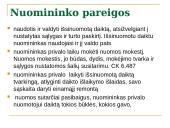 Projektas: nuomos sutartis  11 puslapis