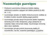 Projektas: nuomos sutartis  10 puslapis