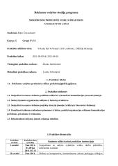 Mokomoji profesinės veiklos praktika: grožio salone "Yolanta hair&beauty" 11 puslapis