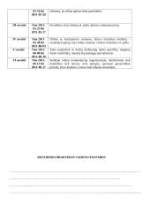 Mokomoji profesinės veiklos praktika: grožio salone "Yolanta hair&beauty" 12 puslapis