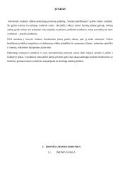 Mokomoji profesinės veiklos praktika: grožio salone "Yolanta hair&beauty" 2 puslapis