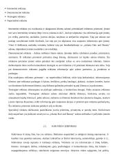 Mokomoji profesinės veiklos praktika: grožio salone "Yolanta hair&beauty" 5 puslapis