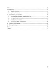 Aplinkos apsaugos būtinumas ir išlaidos jai 2 puslapis