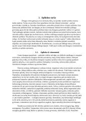 Aplinkos apsaugos būtinumas ir išlaidos jai 4 puslapis