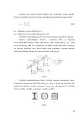 Kabantysis grandininis transporteris 11 puslapis