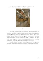 Kabantysis grandininis transporteris 17 puslapis