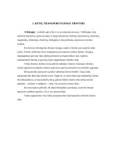 Kūnų transportavimas trintimi 3 puslapis