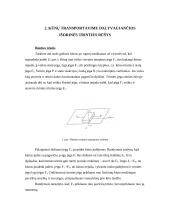 Kūnų transportavimas trintimi 4 puslapis