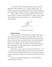 Kūnų transportavimas trintimi 5 puslapis