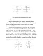 Kūnų transportavimas trintimi 6 puslapis