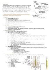 Žmogaus anatomija ir fiziologija 3 puslapis