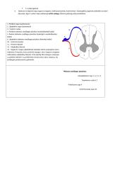 Žmogaus anatomija ir fiziologija 4 puslapis