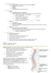 Žmogaus anatomija ir fiziologija 10 puslapis