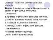 Matricinė valdymo struktūra 2 puslapis