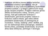 Matricinė valdymo struktūra 12 puslapis