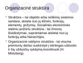 Matricinė valdymo struktūra 3 puslapis