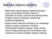 Matricinė valdymo struktūra 4 puslapis