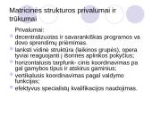 Matricinė valdymo struktūra 6 puslapis