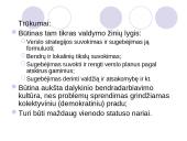 Matricinė valdymo struktūra 7 puslapis