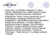 Matricinė valdymo struktūra 8 puslapis
