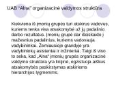 Matricinė valdymo struktūra 9 puslapis