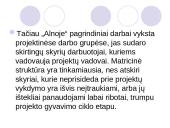 Matricinė valdymo struktūra 10 puslapis