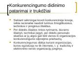 Elektroninio verslo konkurencingumas 6 puslapis