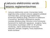 Elektroninio verslo teisinis reglamentavimas 5 puslapis