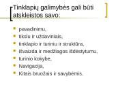 Interneto priemonės ir paslaugos 11 puslapis