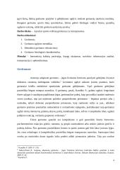 Greitumas 4 puslapis